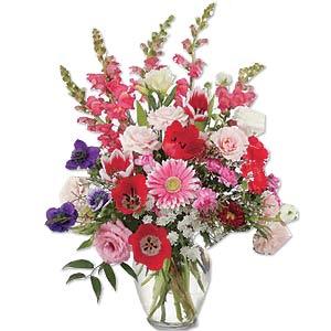 Envio y venta de flores ,rosas, plantas,arreglos florales ,regalos y desayunos a domicilio con delivery gratis en la Ciudad Autonoma de Buenos Aires y con costo de env�o en localidades del Gran Buenos Aires asi como delivery de flores y plantas a trav�s de florerias asociadas en todas las provincias de la Argentina, Buenos Aires, la Pampa, Tucuman, La Rioja, R�o Negro, Entre Rios, Corrientes, Misiones, Neuquen, Chubut, Tierra del Fuego, Santa Cruz, San Luis, Mendoza, Cordoba, Jujuy, Formosa, Santiago del Estero, Salta, Chaco, Catamarca ,San Juan, y ademas realizamos el delivery de flores ,coronas,palmas , plantas y regalos a todas las ciudades de Argentina, Mar del Plata, C�rdoba, Buenos Aires, con cargo en Santa Rosa, La Plata, Bella Vista, Neuquen, Pilar, Paran�, Posadas, Resistencia, Cipolleti y mas de 300 ciudades y localidades en todo el territorio de nuestro pa�s, asi como tambien tenemos la posibilidad de enviar flores a casi todo el mundo en cuestion de horas